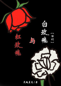 红玫瑰与白玫瑰电影高清免费播放