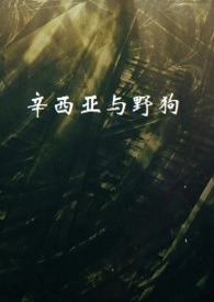 辛西娅宁波